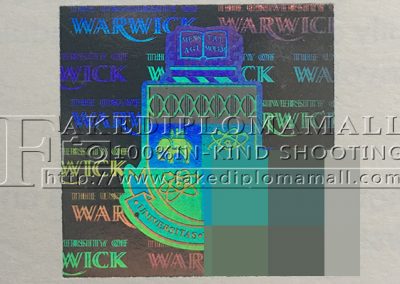 University of Warwick Diploma Hologram
