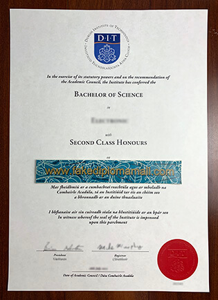 Dublin Institute of Technology (DIT) Fake Diploma Sample