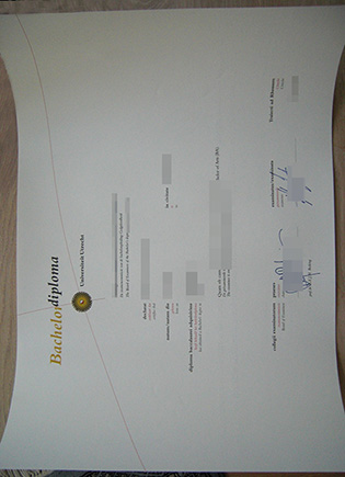 Buy Utrecht University Fake Diploma Online