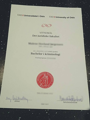 Where To Buy University of Oslo Fake Degree in Norway