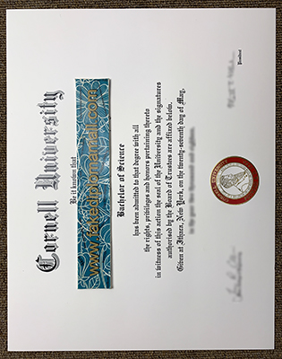 Where Can I Buy a Fake Cornell University Degree in US?