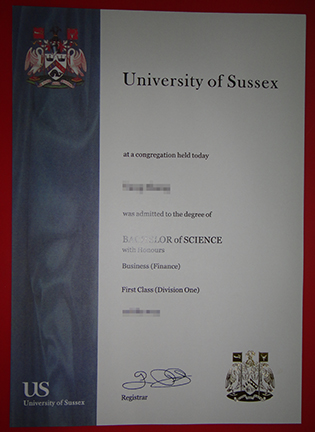 Bachelor of Science Degree From University of Sussex in Brighton