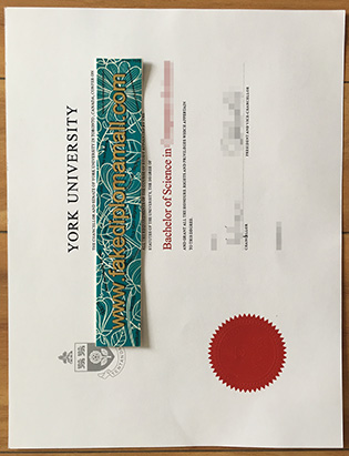 York University Degree Certificate, Where to Buy York University Fake Diploma?