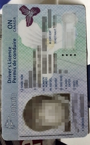 Can I Buy A Fake Ontario Driver Licence Online?