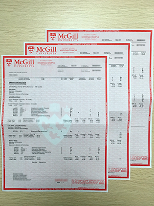 The McGill University Fake Transcript Help You Win a Job