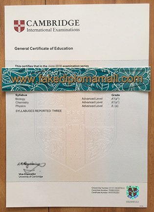 Buy GCE A Level Fake Certificate to Applying for University
