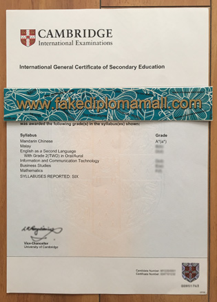 Where to Buy IGCSE Fake Certificate, Buy CIE Fake Certificate