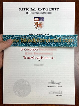 NUS Diploma, National University of Singapore Degree Sample