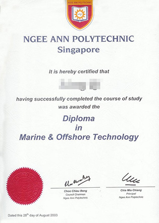 Ngee Ann Polytechnic Diploma Sample