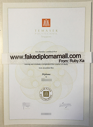 Singapore Temasek Polytechnic Degree Sample