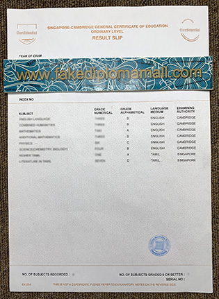 Fake Singapore GCE A Level certificate Result Slip