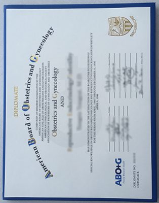 ABOG Fake Certificate 1 314x400 Samples