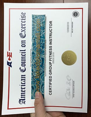 ACE Fake Certificate 313x400 Samples