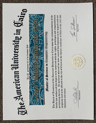 The American University in Cairo Fake Diploma Selling Online