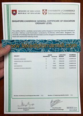 How to Buy a Fake Singapore GCE O Level Certificate Online