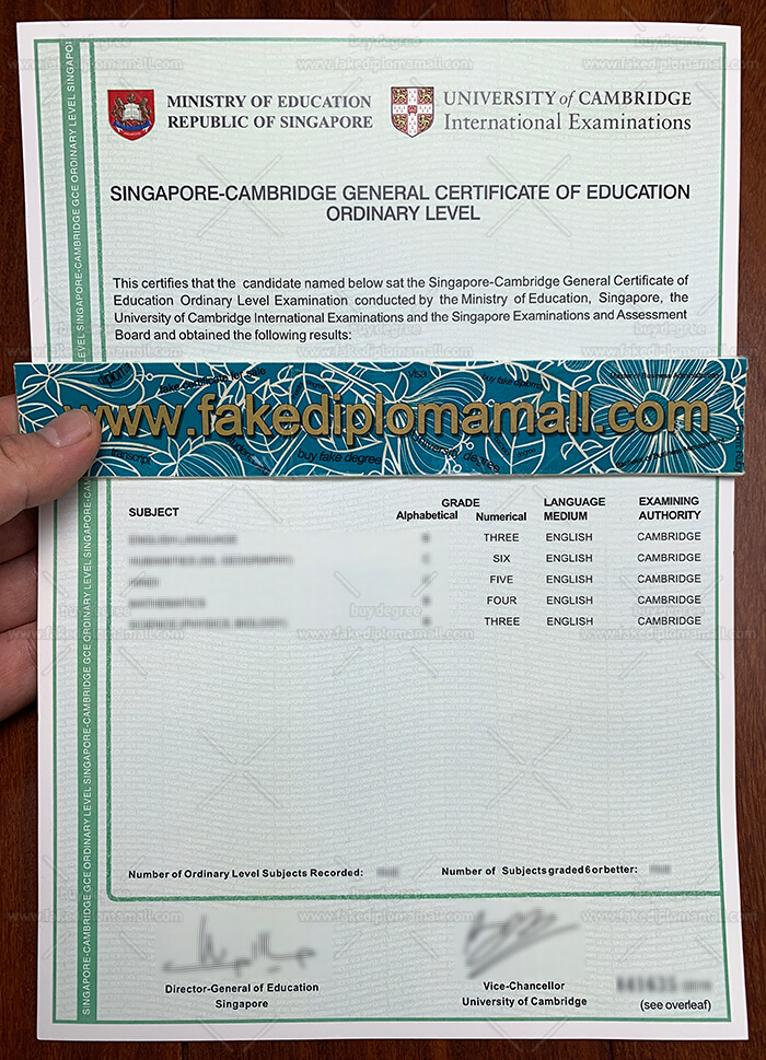 Singapore O level certificate