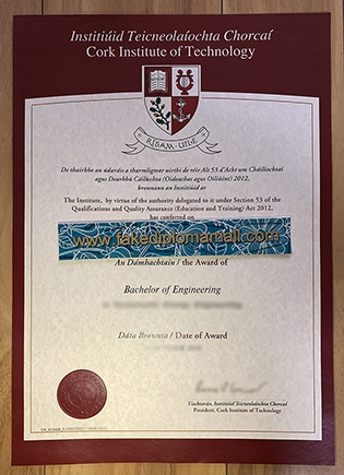 Cork Institute of Technology Fake Diploma, Buy Fake CIT Degree