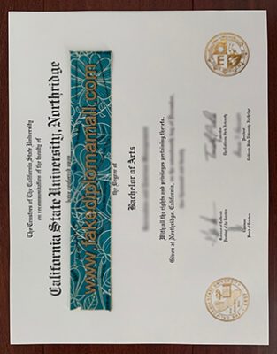 CSU Northridge Fake Degree 313x400 Samples