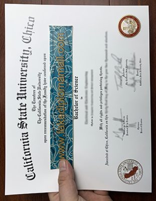 California State University Chico Degree Certificate 311x400 Samples