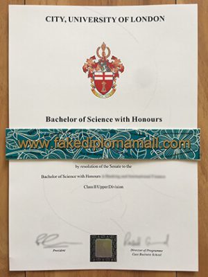 City University London Hons Degree 300x400 Samples