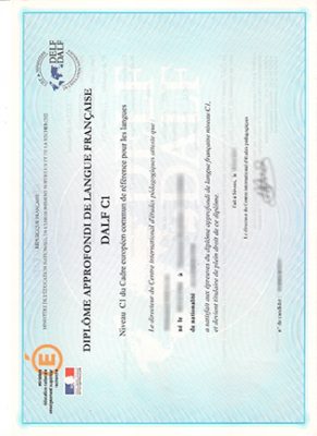 DALF C1 Diploma 291x400 Samples