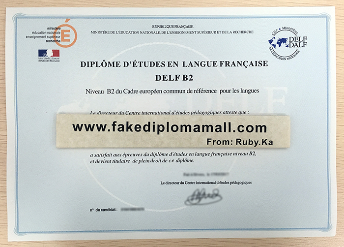 DELF Fake Diploma Buy Fake DELF Diploma From France
