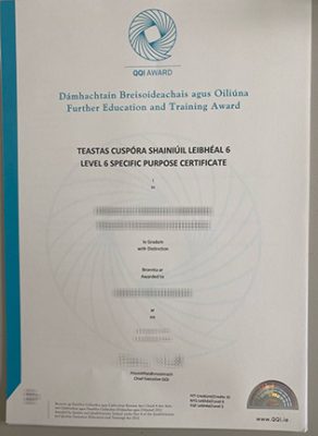 Dublin QQi award Fake Diploma 292x400 Samples