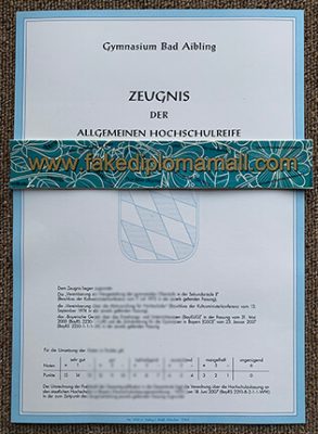 German Zeugnis der Hochschulreife 293x400 Samples