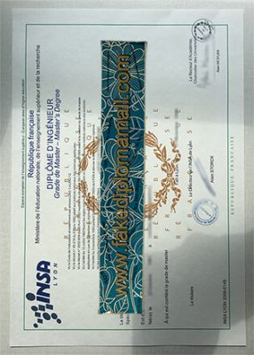INSA Lyon Fake Certificate 286x400 Samples