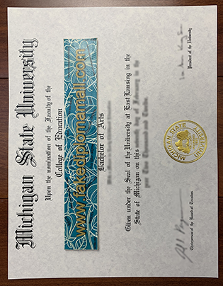 Fake MSU Diploma | Michigan State University Degree Sample