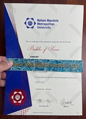 NMMU Fake Degree 289x400 Samples