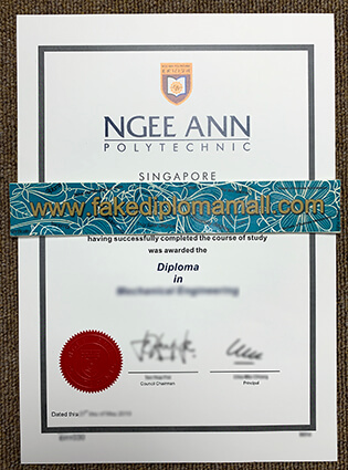 Ngee Ann Polytechnic Diploma Sample