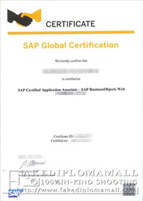 SAP FICO Fake Diploma 284x400 Samples