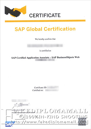 Where to Buy SAP FICO Fake Certificate?