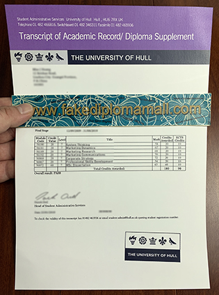 How Many Courses Does The University of Hull Transcript Have?