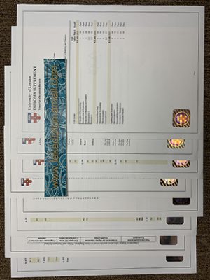 University of London Diploma Supplement 300x400 Samples