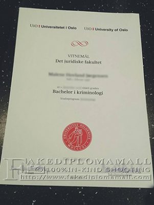 University of Oslo Fake Degree 301x400 Samples