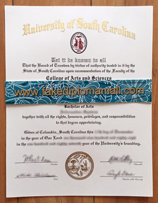 University of South Carolina Degree Certificate 312x400 Samples