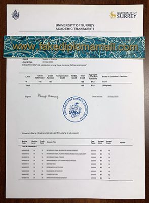 University of Surrey Transcript Sample 294x400 Samples