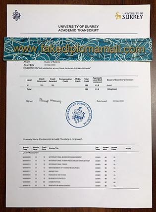 University of Surrey Fake Transcript Sample – UK Transcripts