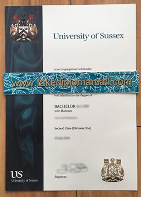 University of Sussex Degree Certificate 286x400 Samples
