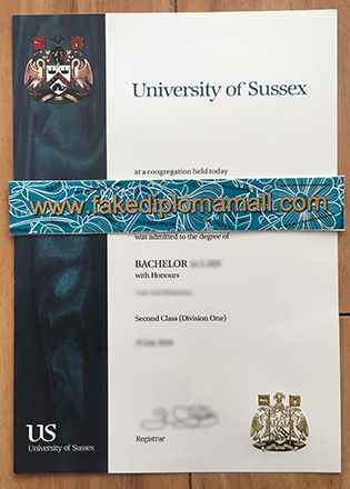 Bachelor of Science Degree From University of Sussex in Brighton