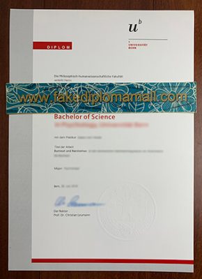 Universität Bern Fake Diploma 290x400 Samples