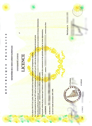 How To Get The Université Lyon II Fake Diploma Scan Copy Within One Day?