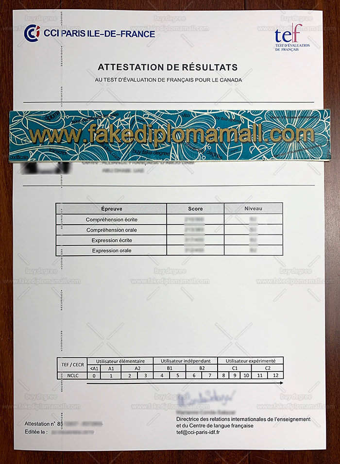 tef Fake Transcript Results Where Can I Buy Fake Tef Fake Certificate for Canadian Immigration?