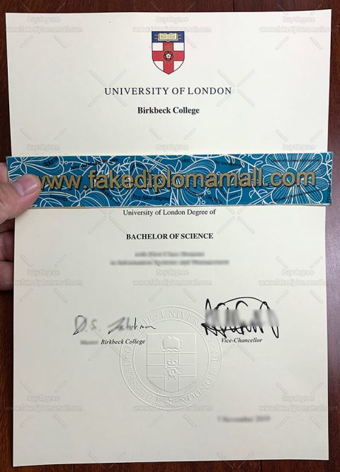 Buy College Papers Online – Fresh Essays