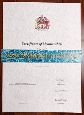 ICAEW Fake Certificate 315 1 290x400 Samples