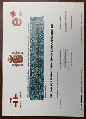 DELE Fake Certificate 289x400 Samples