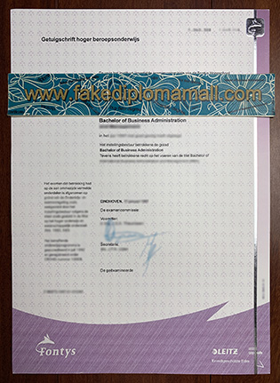 Fontys University Fake Diploma Worth Struggling in The Dutch