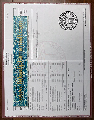 Buy A Fake Pillar College Transcript Template to Help Yourself